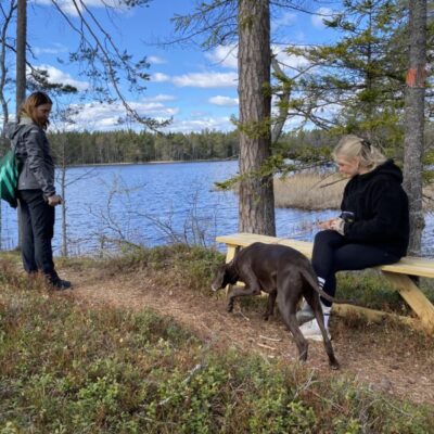 Pipsjöleden