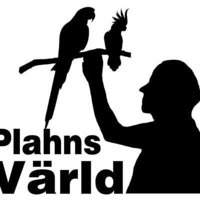 Plahns Värld på Konstkraft