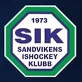 Playoff match Ishockey till Division 1 kvalserie