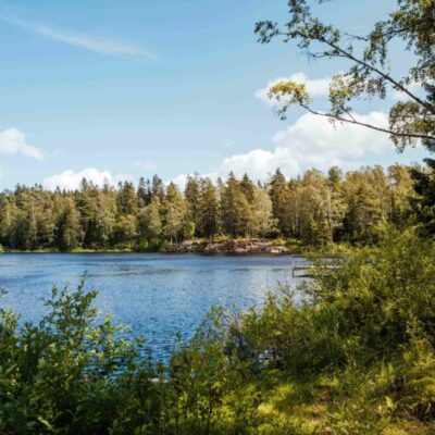 Pop-up utomhusmatlagning för seniorer