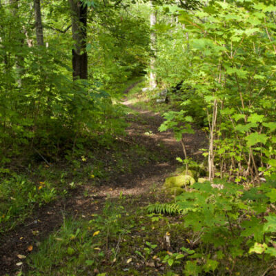 Prästberget