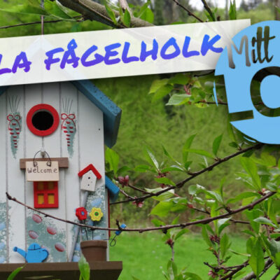 Pyssel – Måla fågelholk