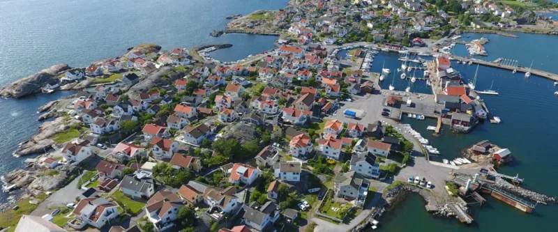 Quiz på Knippla