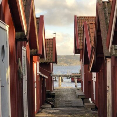 Rågårdsviksdagen