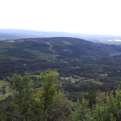Naturreservat i Torsby kommun