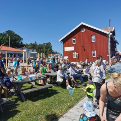 Festivaler