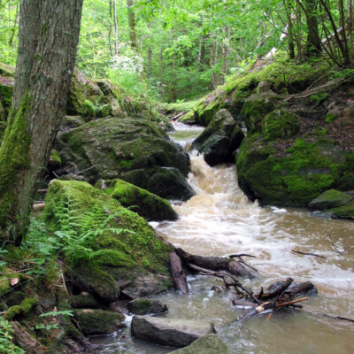 Ryrbäcken Nature Reserve