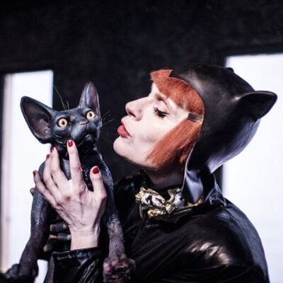 S* Munditia Devon Rex