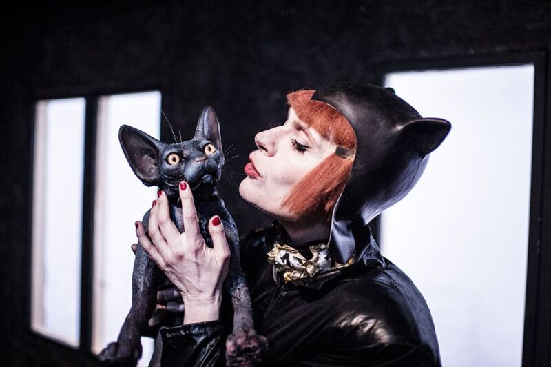 S* Munditia Devon Rex