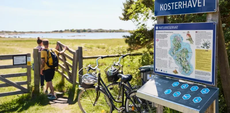Sights on Koster