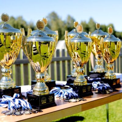 Skadevi Cup fotboll
