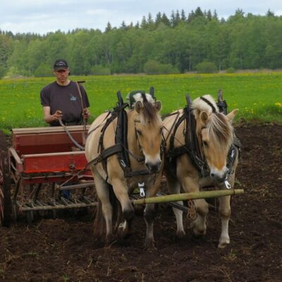 Skattegårdens Bakstuga