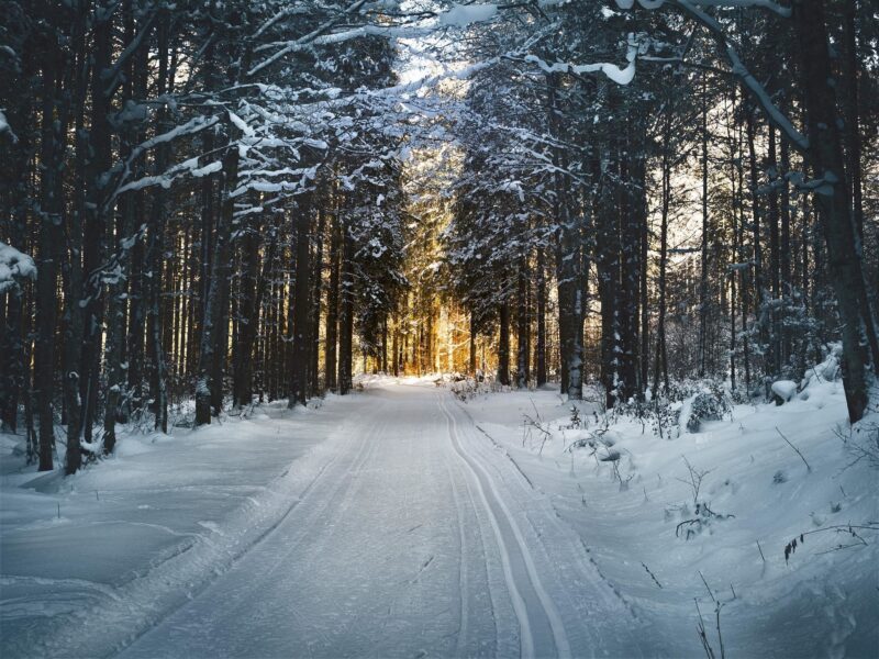 Skidspår i Bergsjö – Råsjövallen
