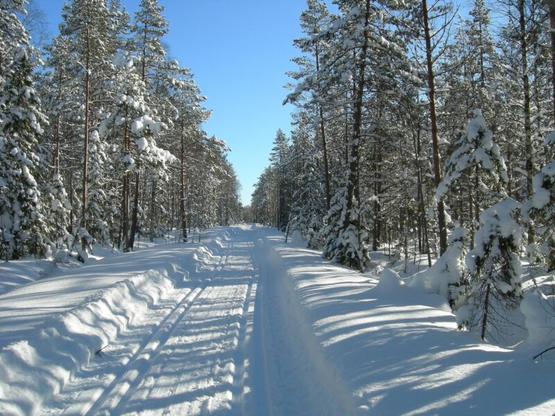 Skidspår i Jättendal