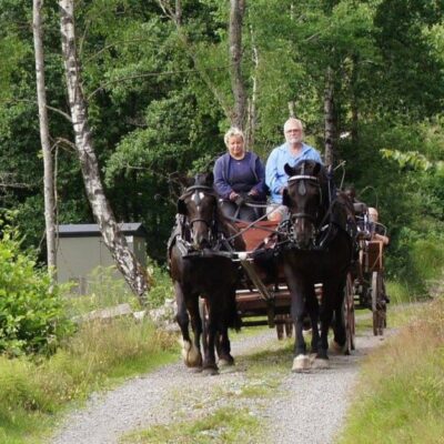 Sköldens hästekipage