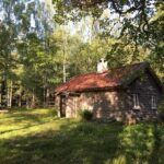 Slåttergille på Sandhult Risveden
