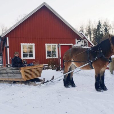 Sleigh ride  with Nordsvenska upplevelser