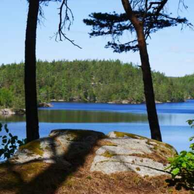 Snäckskalstriangeln