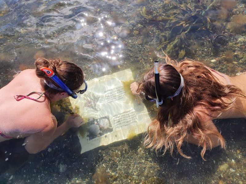 Snorkel