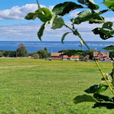 Sommarfesten i Brandstorp