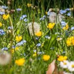 Sommarmusik i Lyrestads församling