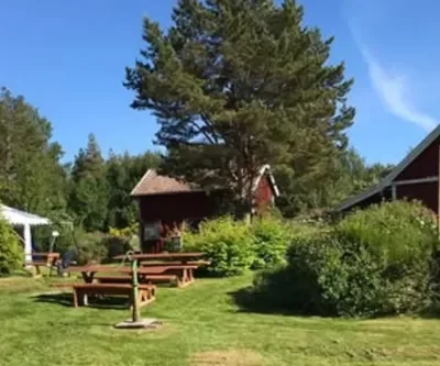 Sommarprogram för Torsö Hembygdsförening