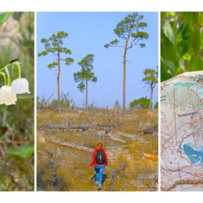 Somrig naturvandring med orientering genom Torsburgens landskap