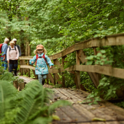 Sörbo hiking trail