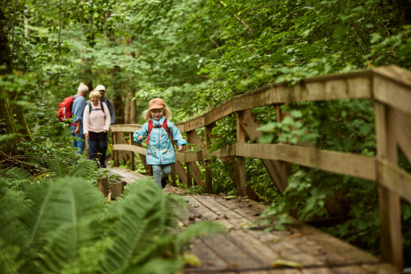 Sörbo hiking trail