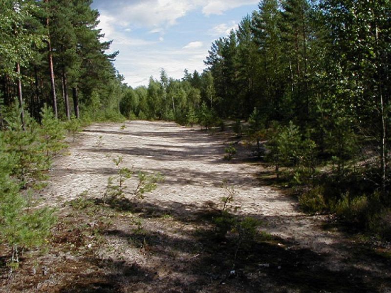 Sörmons naturreservat