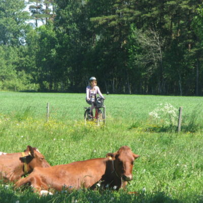 Southern Cycling Tour