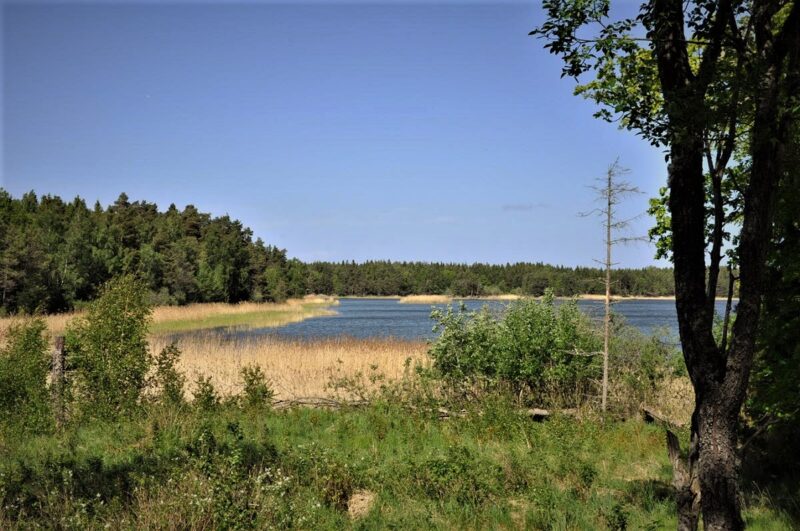 Spårön hiking trail