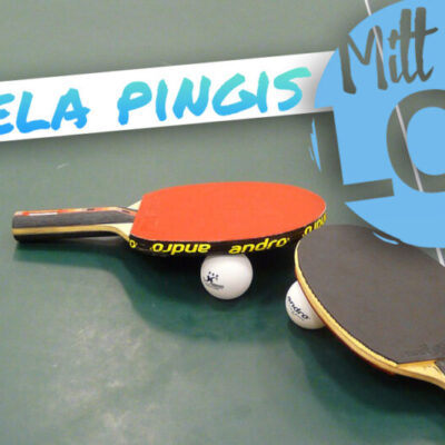 Spela pingis