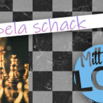 Spela schack