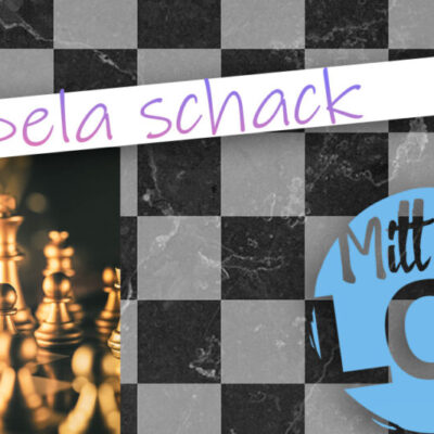 Spela schack