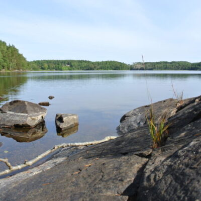 Stamnåra FVO