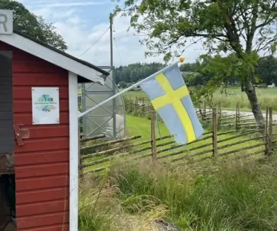 Stenströms skörd