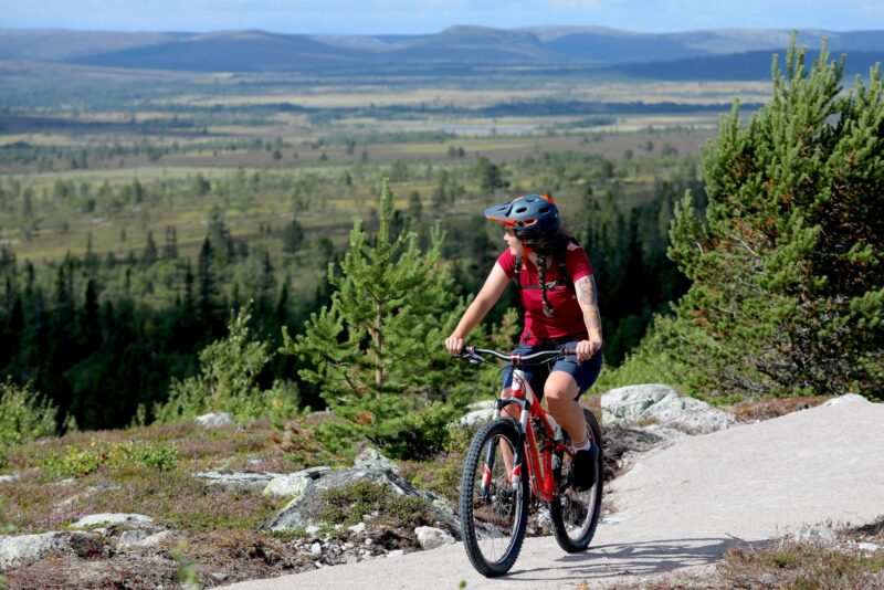 Stigcykling