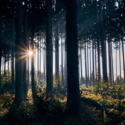 Stora Fjälletrundan