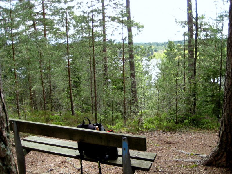 Stora/ Lilla Sågtjärn Fvo
