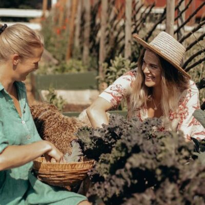 Storrydets gårdsbutik