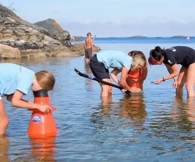 Strandexpedition med Naturum