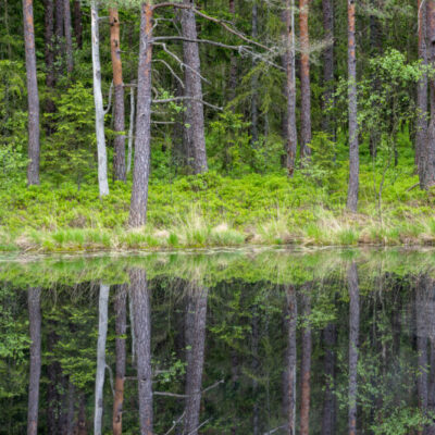 Strömma