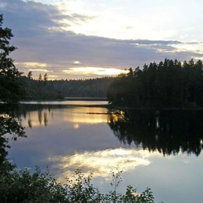 Motionsspår Svanskog