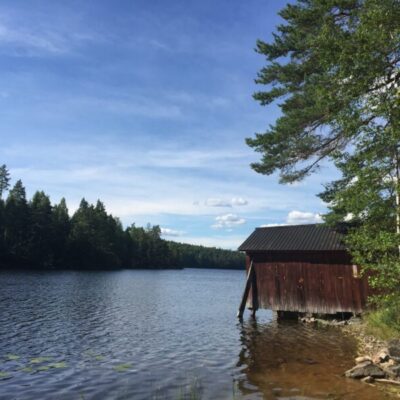 Svärdlångs FVO