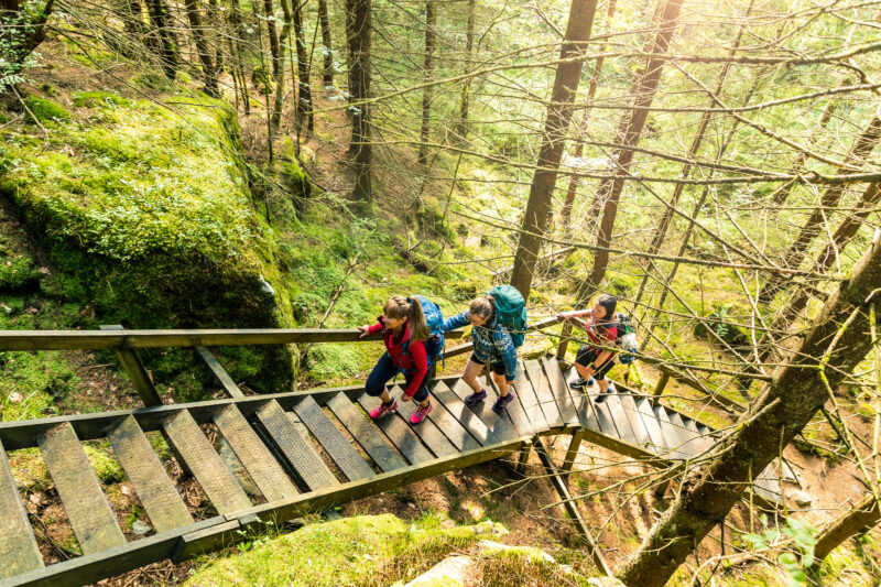Svartedalen and Bohus trail