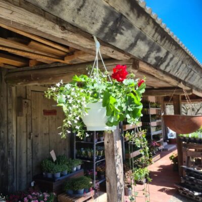 Svenshults Blommor & Sånt