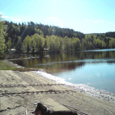 Swimming at Framnäs