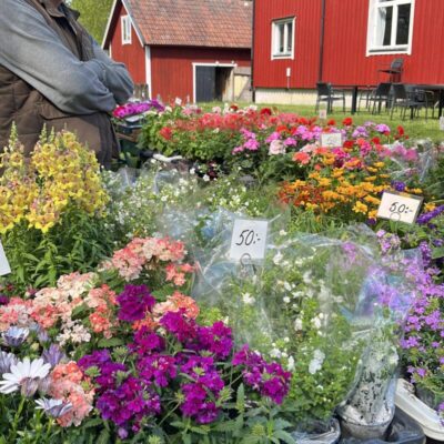 Sycklinge Trädgård