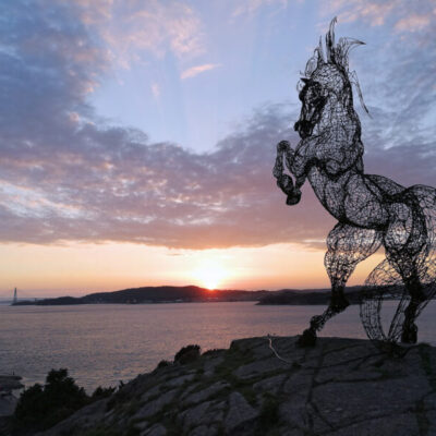 Syrian Horse